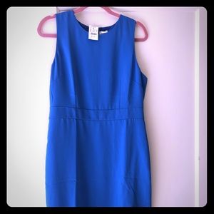 Brand new : JCrew Periwinkle Blue Dress